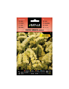 STATICE BATLLE SOB. 96703 SINUATA AMARILLA