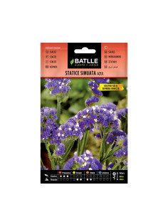 STATICE BATLLE SOBRE 96704 SINUATA AZUL