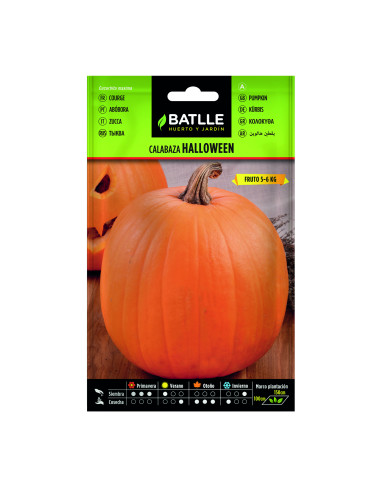 CALABAZA BATLLE BOL. 11312 HALLOWEEN