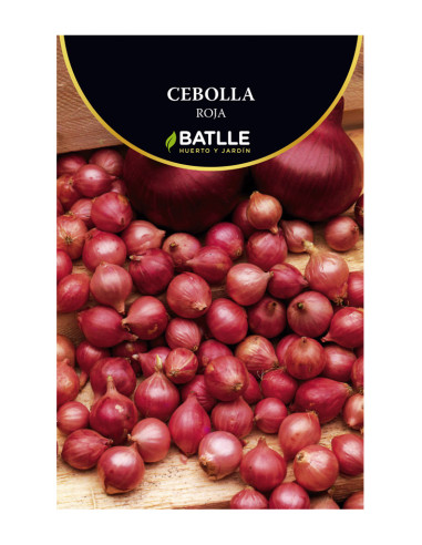 BATLLE CEBOLLA BOL. 500 21-24 ROJA