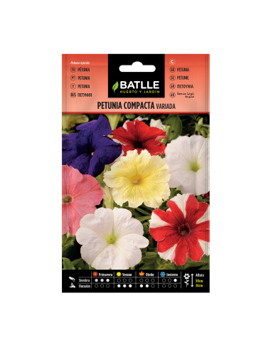 PETUNIA BATLLE SOB. 96004