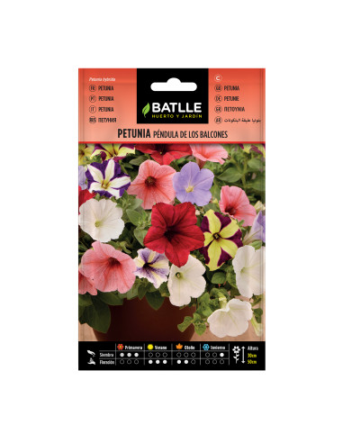 PETUNIA BATLLE SOB. 96007 PENDULA