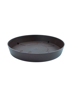 Plato TES 17 cm 22 Bronce