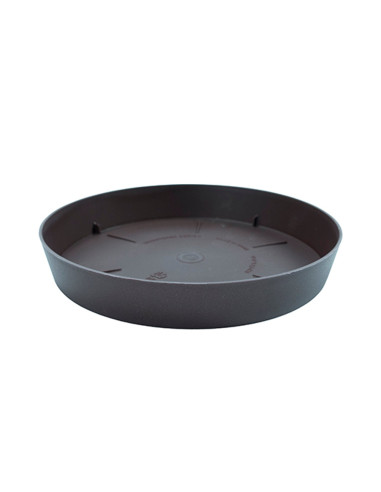 Plato TES 17 cm 22 Bronce