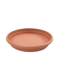 PRATO POTE PK 26CM. TERRA 30 2