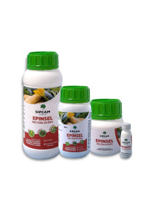 INSECTICIDA  SISTEMICO EPINSEL 100 ml