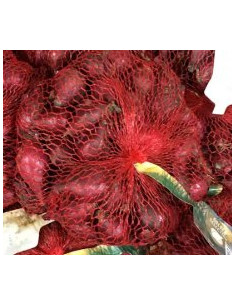 Batlle Cebolla Roja Bulbo para Plantar Calibre 21-24 500 g 2