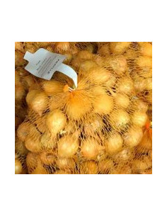 Batlle Cebolla Amarilla Bulbo para Plantar Calibre 21-24... 2