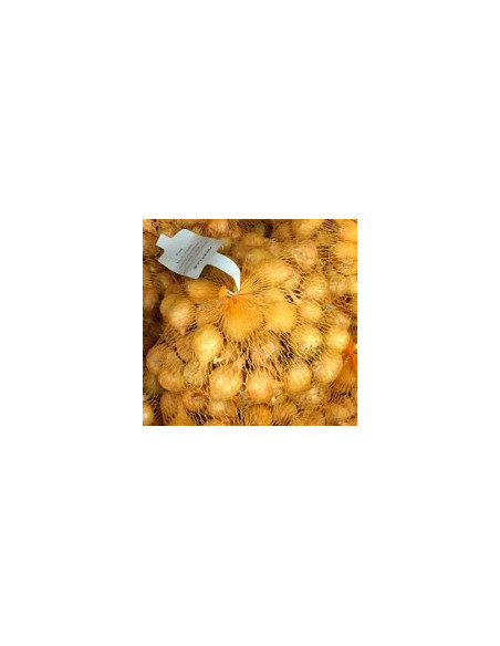 Batlle Cebolla Amarilla Bulbo para Plantar Calibre 21-24 500 g