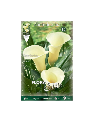 Batlle Bulbo Calla Blanca 815577