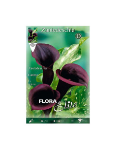 Batlle Bulbo Calla Negra Cantor 805295