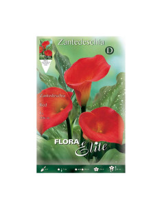 Batlle Bulbo Calla Rojo Naranja 816130