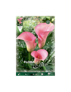 Batlle Bulbo Calla Rosa 816277