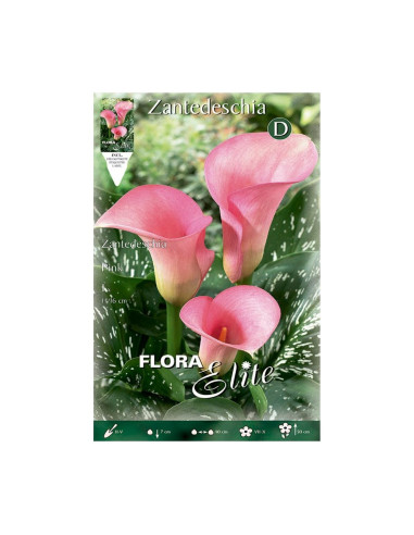 Batlle Bulbo Calla Rosa 816277
