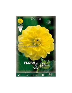 Batlle Bulbo Dalia Decorativa Amarillo Puro 628047