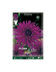 Batlle Bulbo Dalia Decorativa Azul Violeta 668647