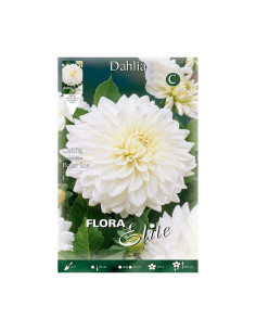 Batlle Bulbo Dalia Decorativa Blanco Puro 789540