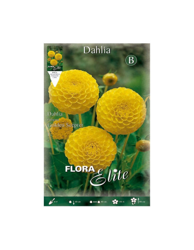 Batlle Bulbo Dalia Pom-Pom Amarilla 655340