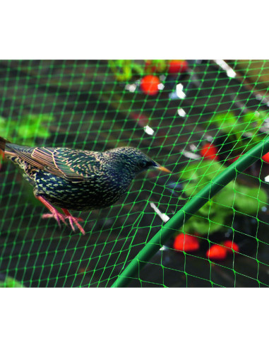 MALHA ANTI-PÁSSAROS 8X10 BIRDNET