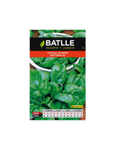ESPINACA BATLLE SOB. 13506 BUTTERFLA