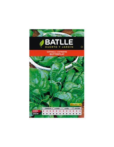 ESPINACA BATLLE SOB. 13506 BUTTERFLA