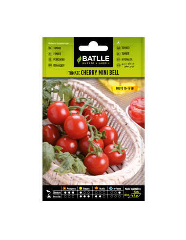 TOMATE BATLLE SOB. 97315 CHERRY C.