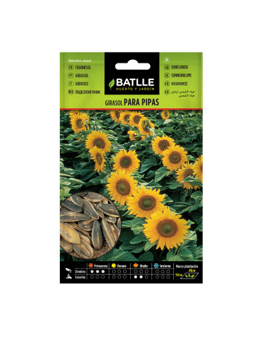 GIRASOL BATLLE SOB. 97337 PIPAS H. A.
