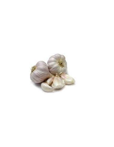 AJO ACEUCHAL BLANCO BOLSA 500 GRS.