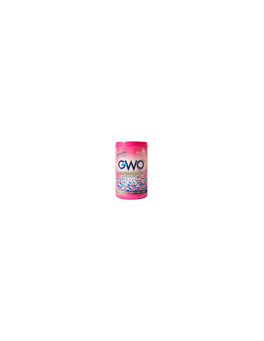 QUITAMANCHAS BLANQUEANTE GWO 06 L