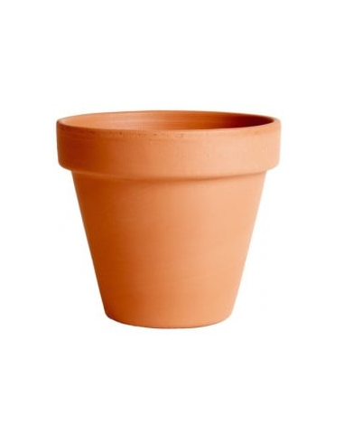 MACETA BARRO FRANCACOR 16 cm NATURAL