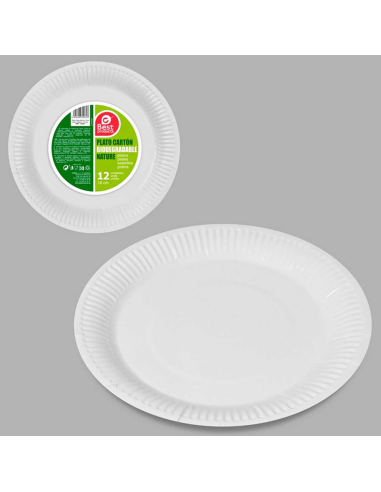 PLATO POSTRE CAMPING BEST PAQUETE  12 uds 18 cm CARTON BLANCO