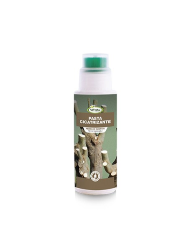 MASTER VITHAL BOTE 250 grs J. E. D. PASTA INJERTAR