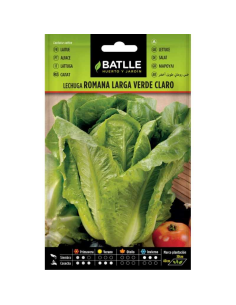 LECHUGA BATLLE SOBRE 13701 ROMANA LARGA VERDE