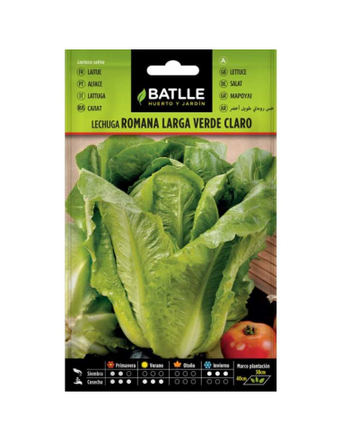 LECHUGA BATLLE SOBRE 13701 ROMANA LARGA VERDE
