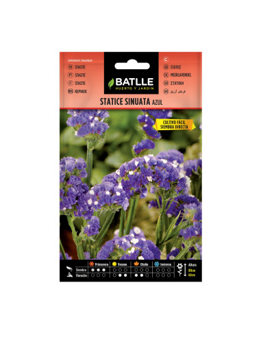 STATICE BATLLE SOBRE 96704 SINUATA AZUL